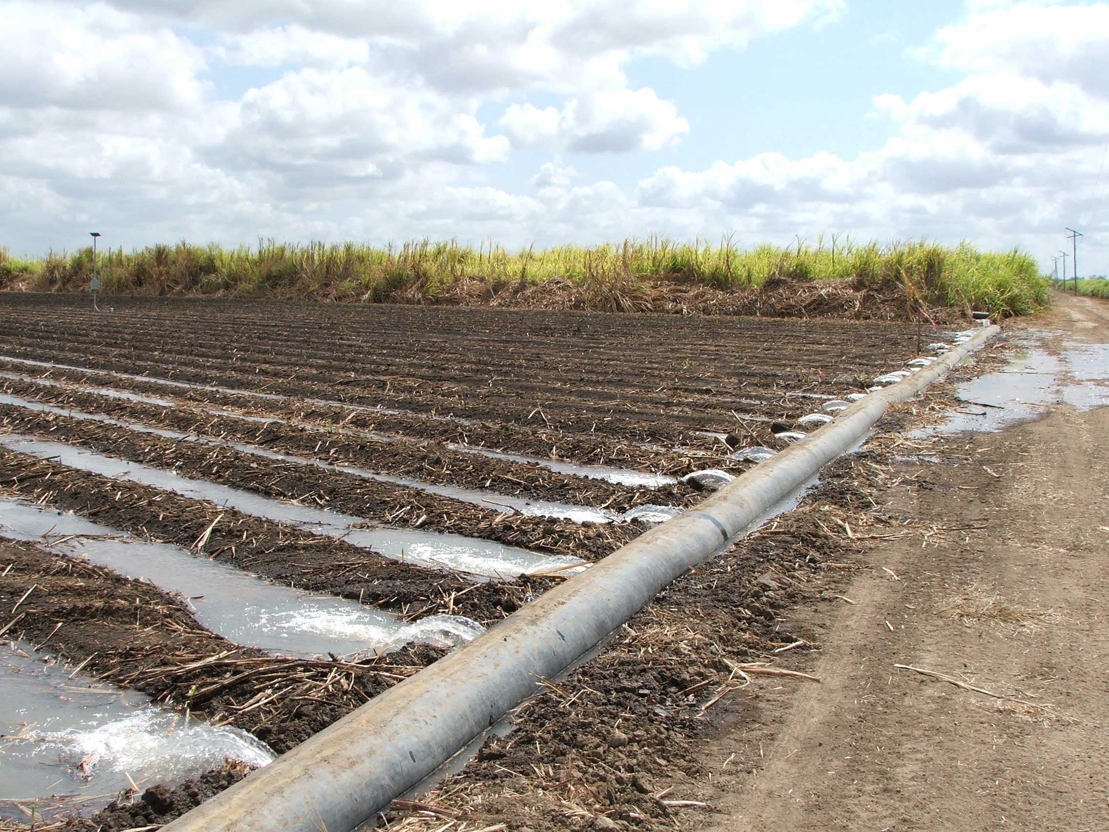 Surface Irrigation Optimisation Agritech Solutions